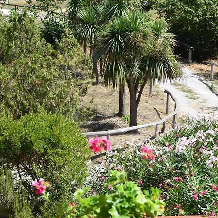 Fondo Santa Lucia Apartment Sant'Agata sui due Golfi Ngoại thất bức ảnh