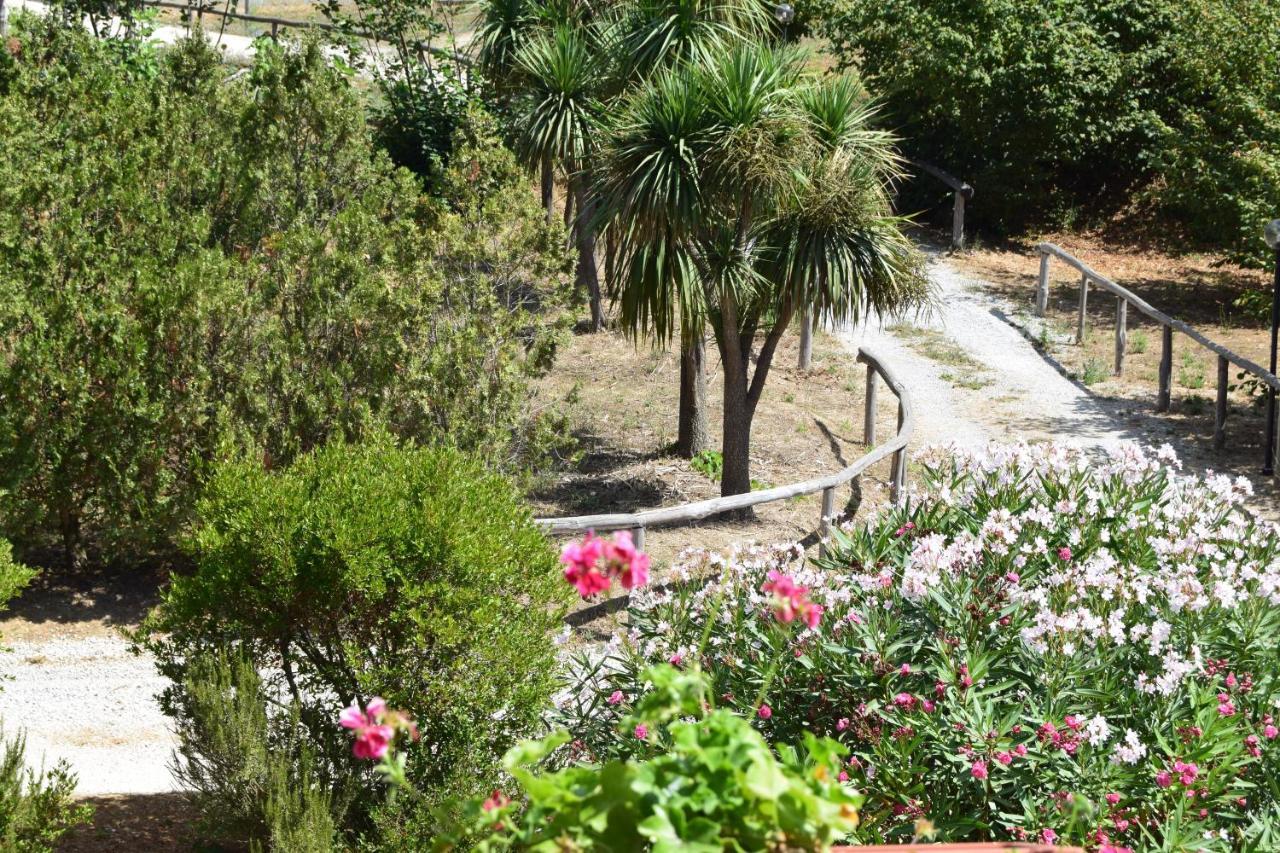 Fondo Santa Lucia Apartment Sant'Agata sui due Golfi Ngoại thất bức ảnh
